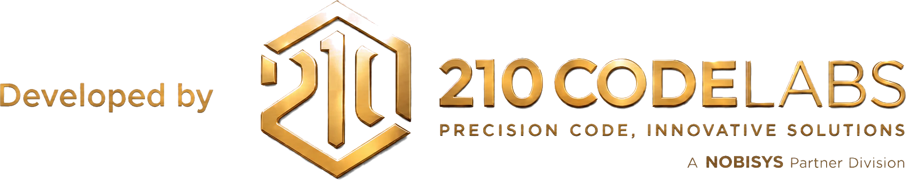 Developed by 210 CodeLabs — Precision Code, Innovative Solutions